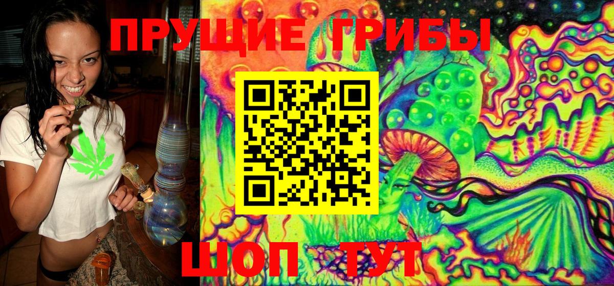 Галлюциногенные грибы Psilocybine cubensis  Вход с VPN  Псилоцибиновые грибы мухоморы  где найти наркотики  Саратов 